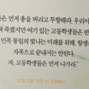 전일식당 이미지