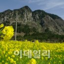 추사 유배길 - 3코스 사색의 길 이미지