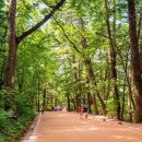 정석목장 이미지