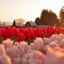 죽성농장 이미지