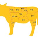 5월 6일 10주차 리포트 - Sirloin Steak 이미지