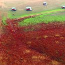 경사로 태양광발전소 이미지