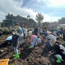 흥산초 흥산살이 살림 활동 ‘성료'[미래교육신문] 이미지