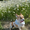 본마을2길 9 이미지