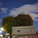 평촌(벌말)경로당 이미지