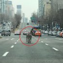 신사동-27 이미지