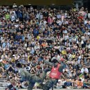 코리아 특공무술 이미지