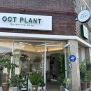 악토플랜트