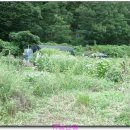 칠백농장 이미지