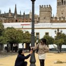 100년 서서갈비 | 🇪🇸 152 ㅣ 세비야 1일차 ㅣ 알카사르 궁전 ㅣ 세비야 대성당 ㅣ 스페인 광장 ㅣ 플라멩코 공연