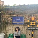 폐가부활전 이미지