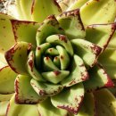 헬리오스 이미지