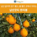 남산끗티