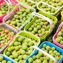 가뫼골마을 이미지