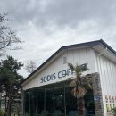 소디스커피 | 경주 대형정원 카페! 베이커리와 커피가 맛있는 “소디스커피” 내돈내산 후기