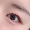 아름다움뷰티 | 안산) 고잔동속눈썹 전문점에서 속눈썹 펌 한 후기 : 아름다움 뷰티 & 아카데미