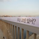 서울더남성의원 Daum카페