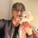 꾹!밥 이미지