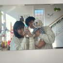 하울픽스 네이버블로그