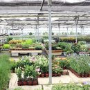 반송동117 이미지