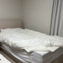 베스트올 제일 | 대전 베스트슬립 둔산 쇼룸 구매 후기 L3 신혼침대 허리 편한 매트리스