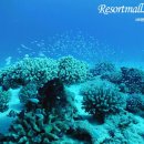 언더더씨 이미지