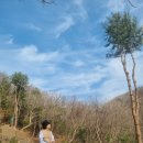 금식농장 이미지