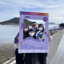 퍼플 이미지