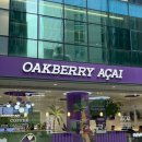 디오크(The oak) | 강남 오크베리 신논현점(OAKBERRY) 아사이볼 내돈내산 후기｜디오리지널,마차팝볼