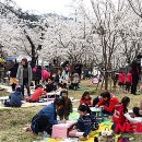 동해시-14 이미지