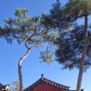 이치커피 이미지