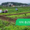 용재농장 이미지