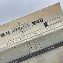 양산 | 양산 지펠리체 웨딩홀 투어후기 (계약완료✅)