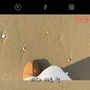 스테이도유 이미지