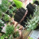 스마일화원 이미지