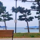 와현해수욕장(서) 이미지