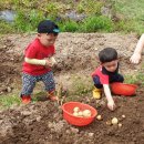 여자만마을 이미지