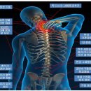 척추/골반/재활[척추 수술/시술 판정 및 재발하신 분.. 허리(목) 디스크, 척추 협착증..] & 보디빌딩(Body building) 1:1 맞춤 운동 & 주식 강의 전문 이미지
