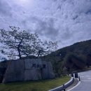[골프 여행 / 월송리 CC 후기] 오크밸리 리조트, 월송리CC 골프여행 후기