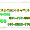 세무사정호진 네이버블로그