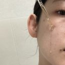 천연 발효 항산화앰플 카페다므 락토그린빈 앰플
