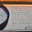 병천본가 순대국밥 이미지