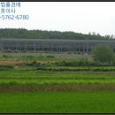 도리 회리 이미지