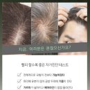 지쓰리시스템 이미지