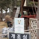 태안 맛집 몽산포제빵소 애견 동반 대형 베이커리 카페 다녀온 후기