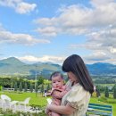 창성농장 | 거창 이수미팜베리 농가 레스토랑 카페 유기농 맛집 아이와 함께 가기 좋아요 :)