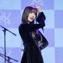 마젠타 이미지