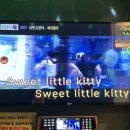 나이스코인노래연습장 이미지