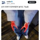 대게드림 이미지