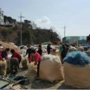 오류1리 이미지